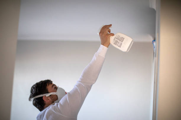 Best Local Mold Removal Service  in Vassar, MI