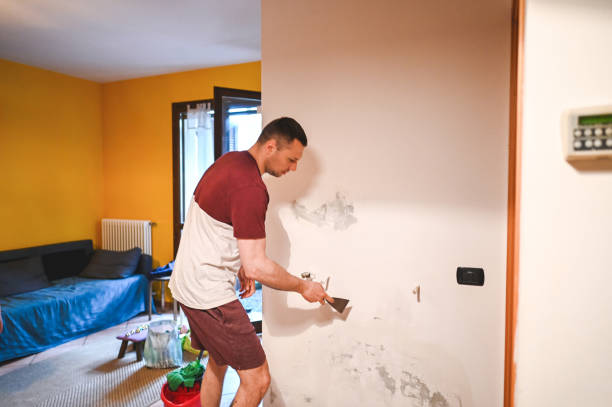 Best Commercial Mold Removal  in Vassar, MI